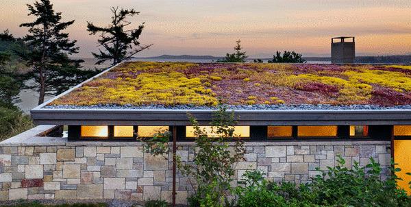 Earth-sheltering and turf roofs 